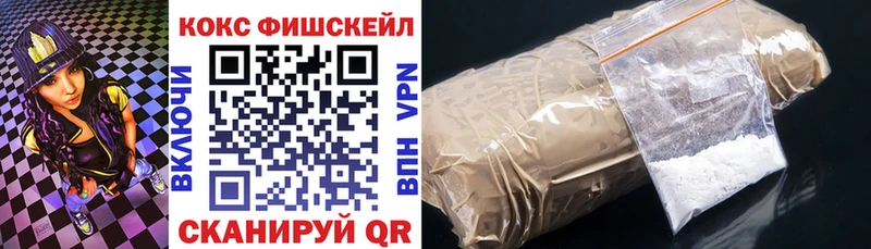 Cocaine Fish Scale  купить наркотики цена  Лаишево 