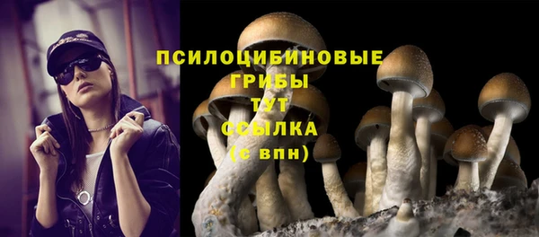 героин Алексин