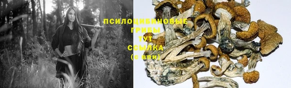героин Алексин