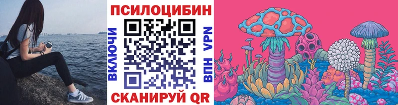 Псилоцибиновые грибы Magic Shrooms  закладки  Лаишево 